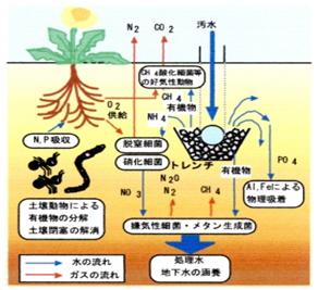 土壌式汚水トレンチシステム