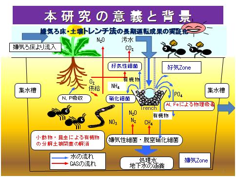 土壌式脱窒・脱リンシステム
