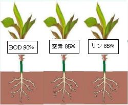 除去能力